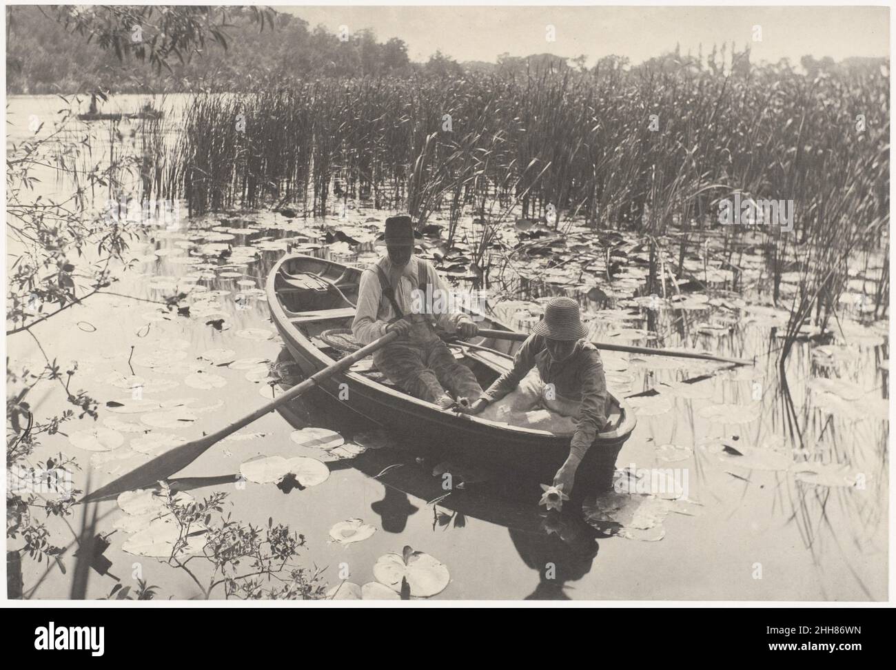 Gathering Water-Lilies 1886 Peter Henry Emerson British, born Cuba. Gathering Water-Lilies. Peter Henry Emerson (British (born Cuba), 1856–1936). 1886. Platinum print from glass negative. Photographs Stock Photo