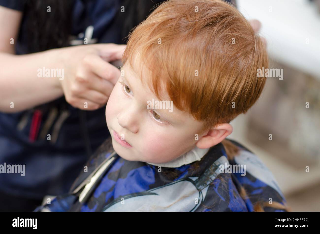 Boy boys child children cut[cutting hair] hi-res stock photography and  images - Alamy
