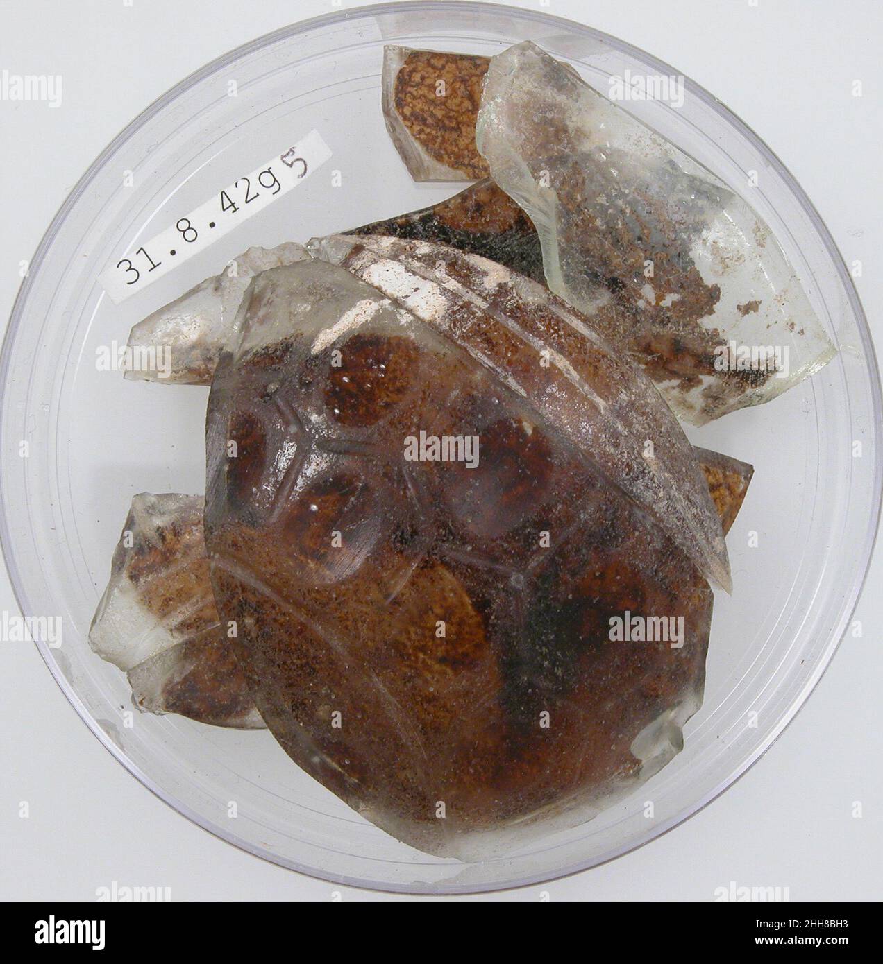 Fragmens Glass Fragments 4th century Coptic. Glass Fragments 479188 Stock Photo ...