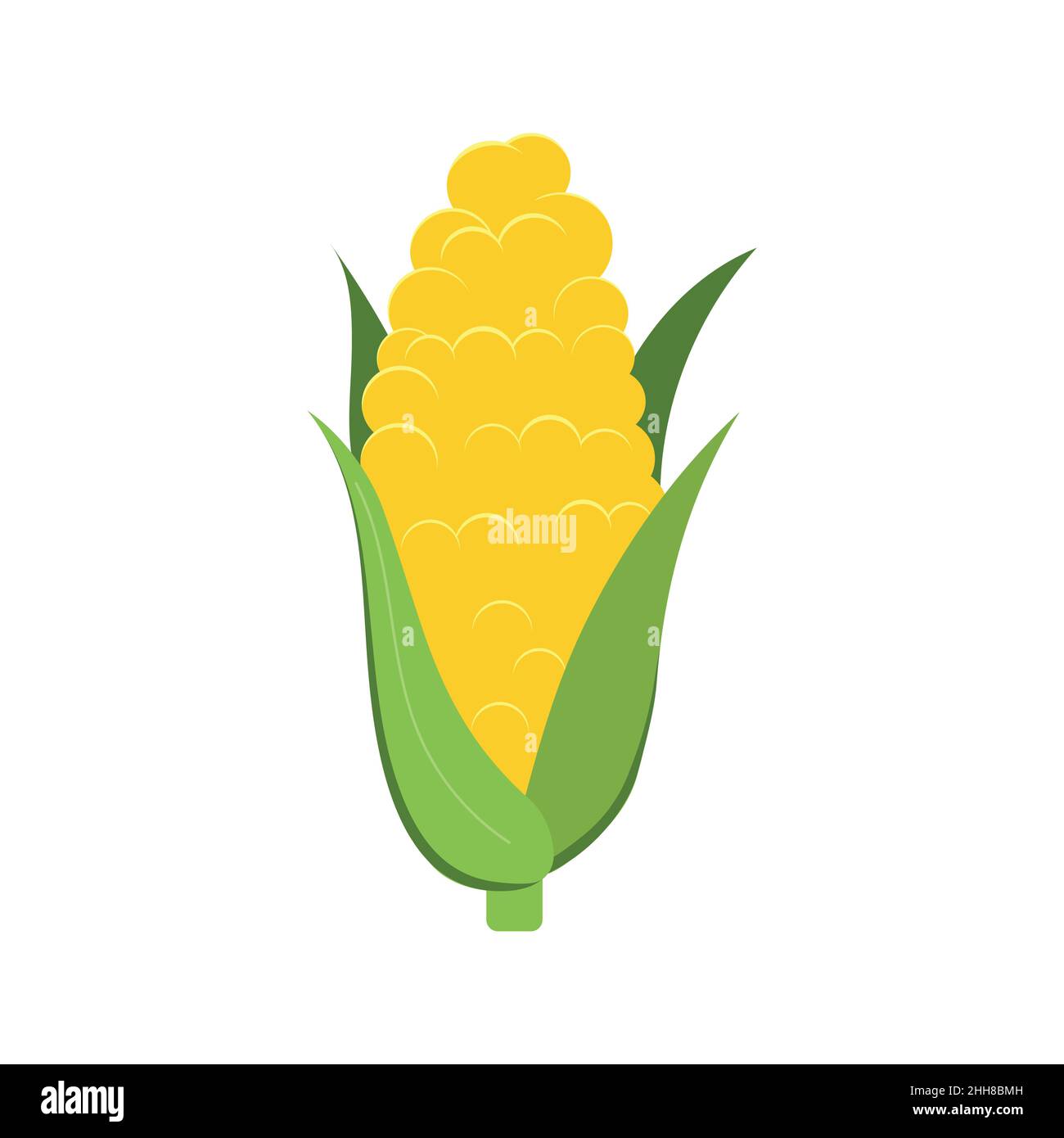 Corn cob or sweet ear with leaf isolated on white background. Stock Vector