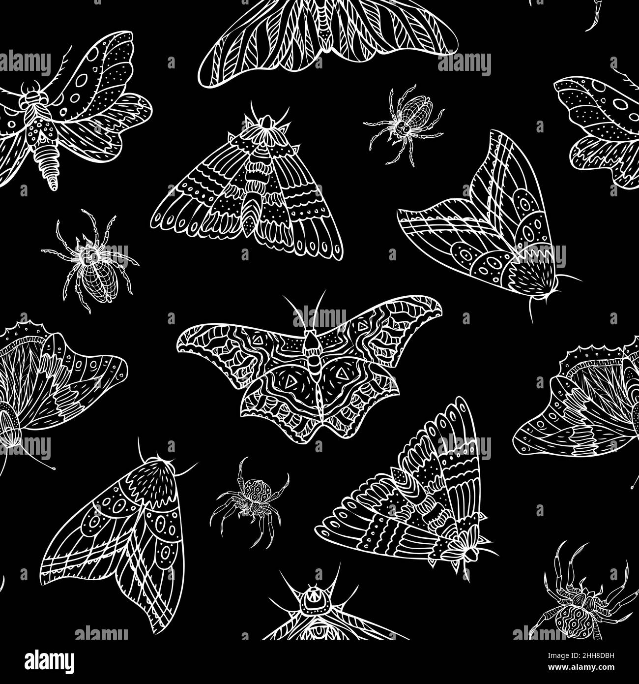 Seamless pattern of night butterflies and spiders. Hand drawn ...