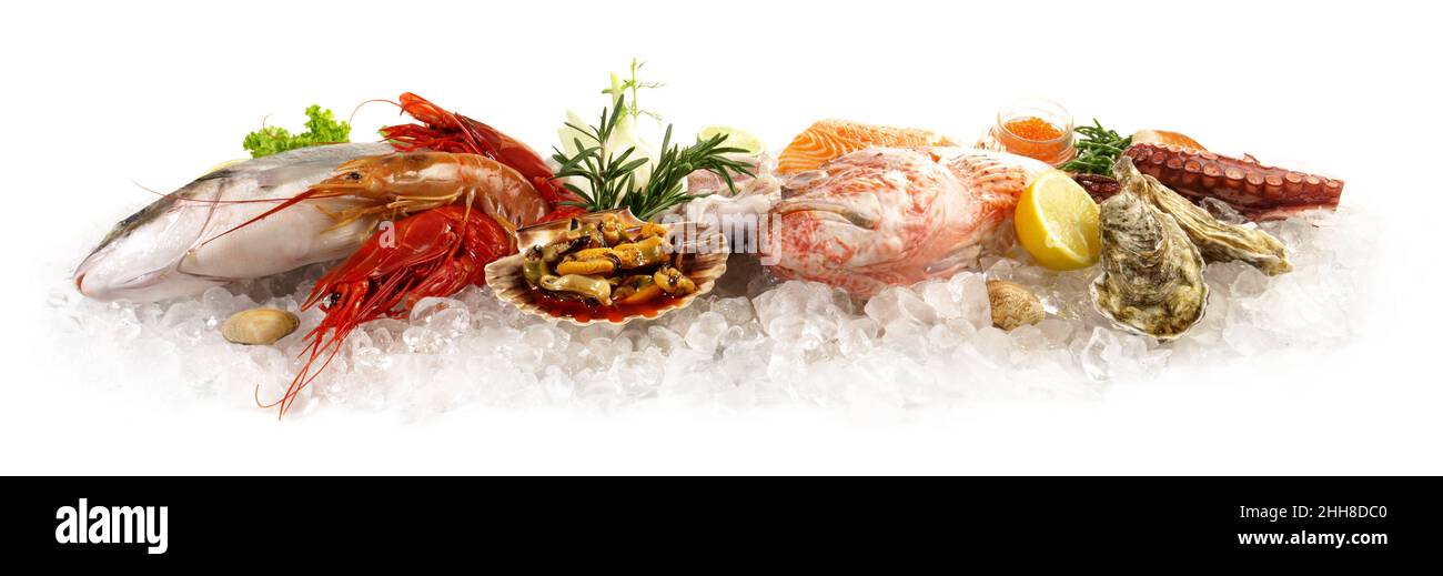 Fish and Sea Food on Ice with Sea Weed, Caviar, Mussels, Oysters and Scallop isolated on white Background - Side View Banner Stock Photo