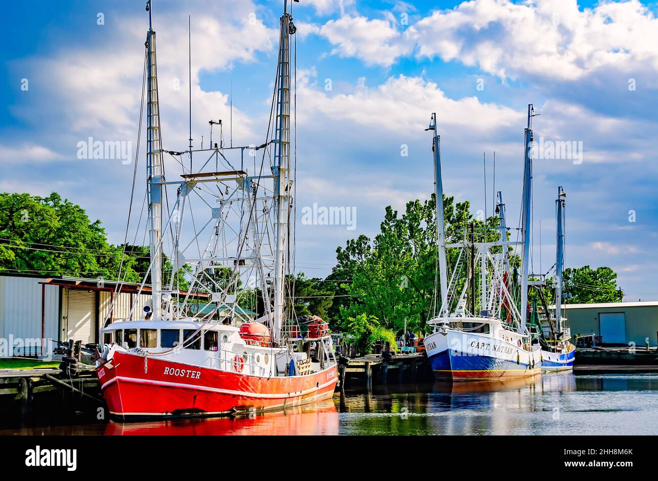 Shrimp boats are pictured, April 27, 2021, in Bayou La Batre, Alabama