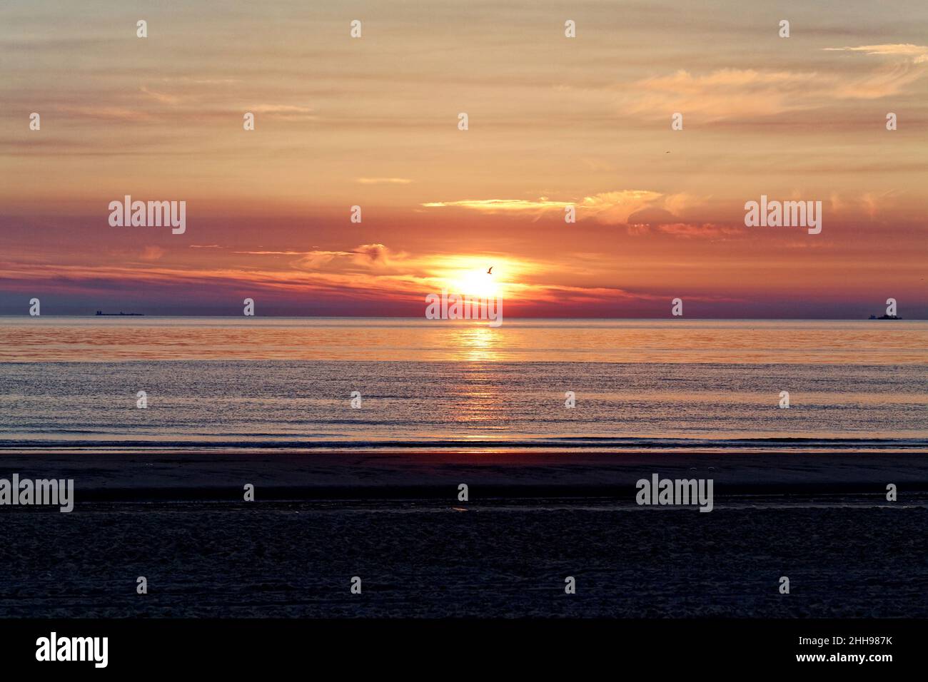 Amazing sunset landscape in the North Sea. Texel, Netherlands Stock Photo