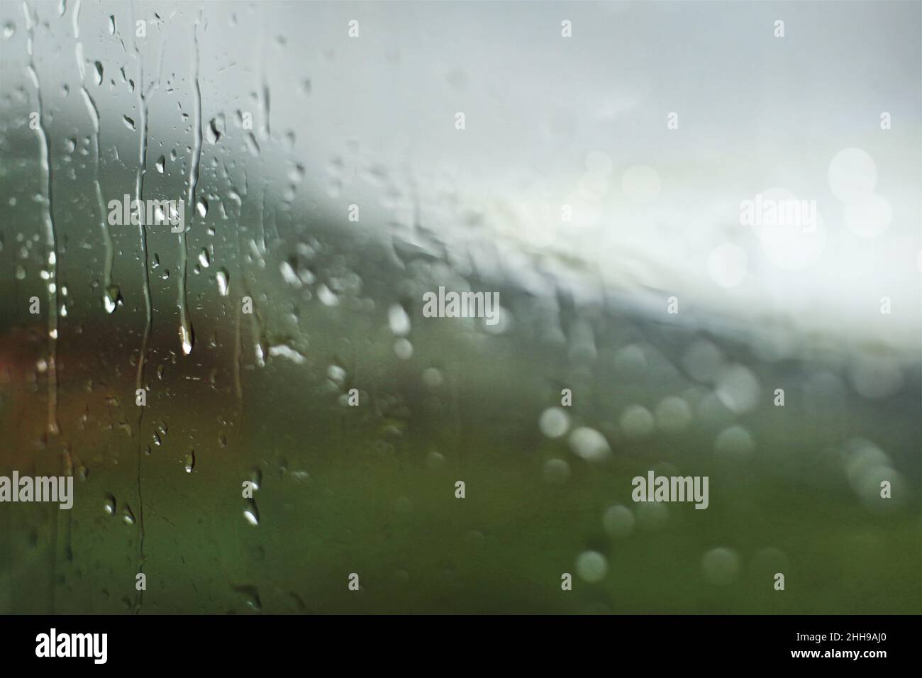 Ireland storm galway tree hi-res stock photography and images - Alamy