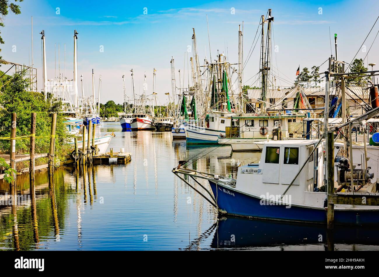 Shrimp boats are pictured, May 15, 2016, in Bayou La Batre, Alabama. The city is known as the Seafood Capital of Alabama. Stock Photo