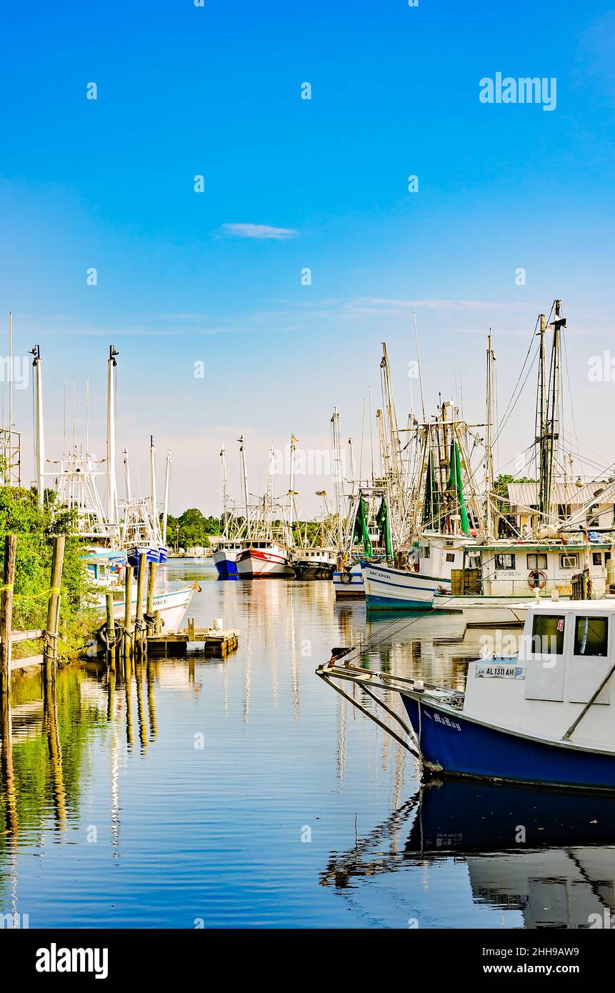 Shrimp boats are pictured, May 15, 2016, in Bayou La Batre, Alabama. The city is known as the Seafood Capital of Alabama. Stock Photo