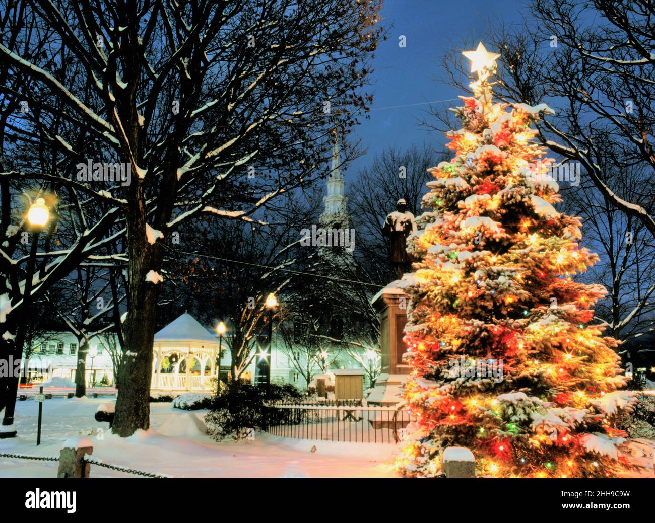 New England outdoors Christmas tree at night Stock Photo