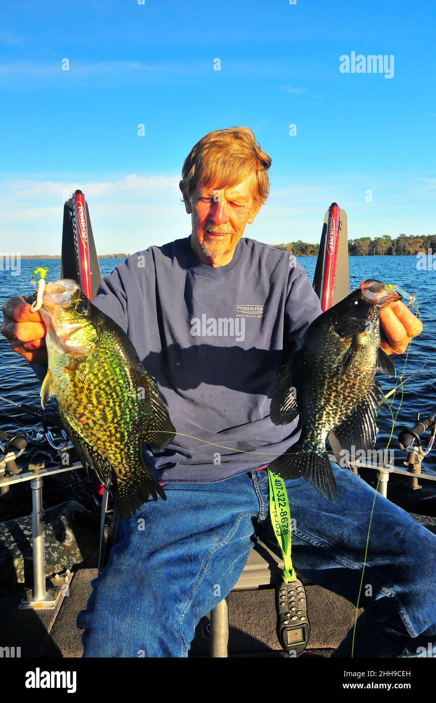 Guide Jack Smith lands a couple of big 2-pound crappie (speckled perch) from Central Florida waters. Stock Photo