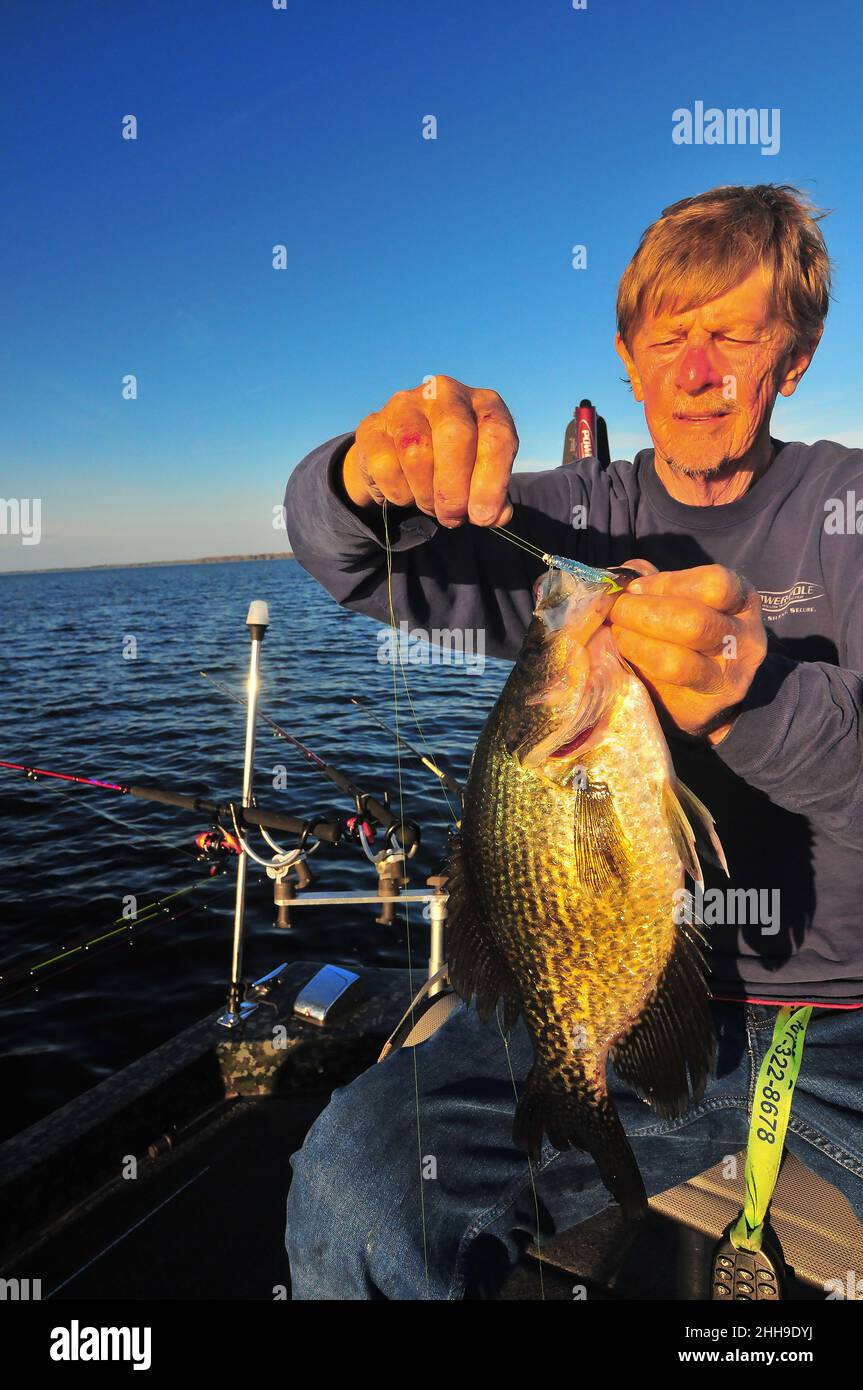 https://c8.alamy.com/comp/2HH9DYJ/guide-jack-smith-lands-a-big-2-pound-crappie-speckled-perch-from-central-florida-waters-it-was-released-after-the-photo-2HH9DYJ.jpg