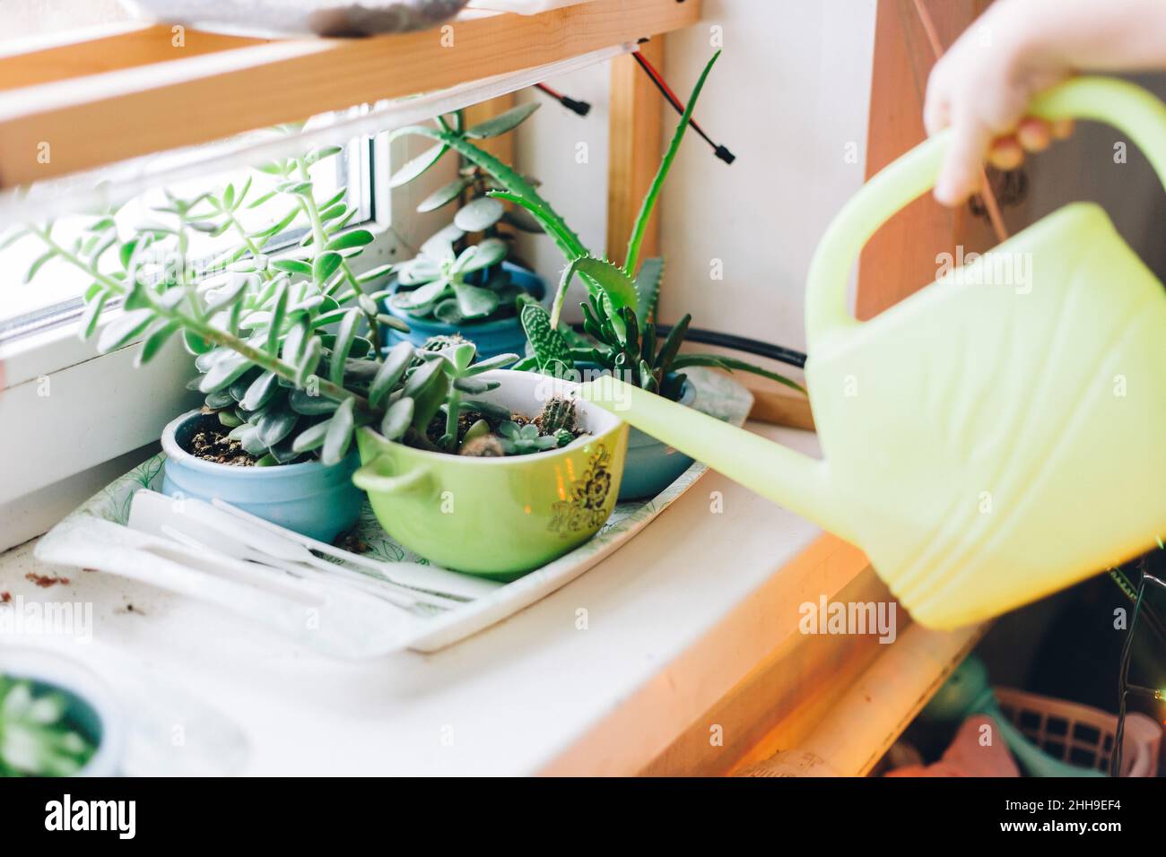 Watering Plant In Container On Balcony Garden Stock Photo