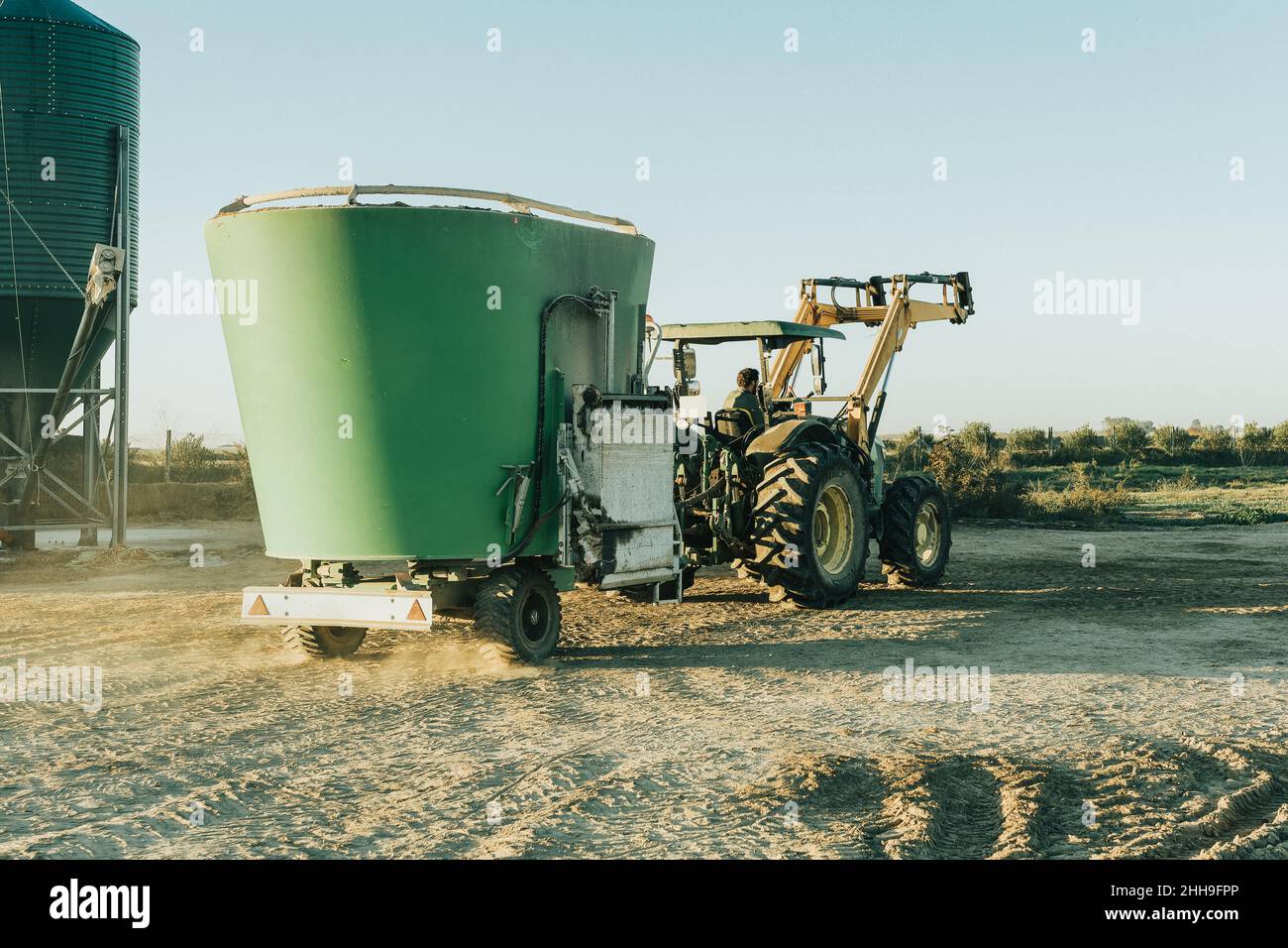 a tractor coming to refuel cows with feed Stock Photo Alamy