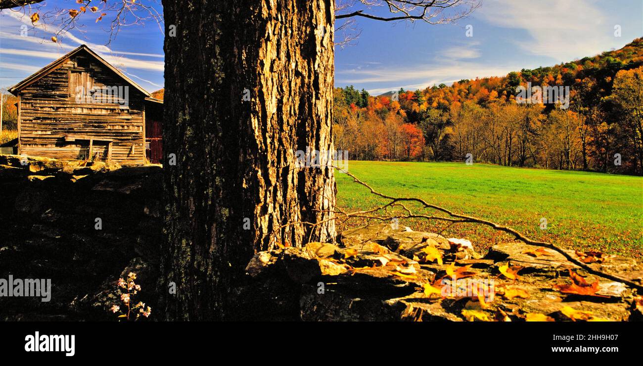 New England stone wall and field in autumn Stock Photo