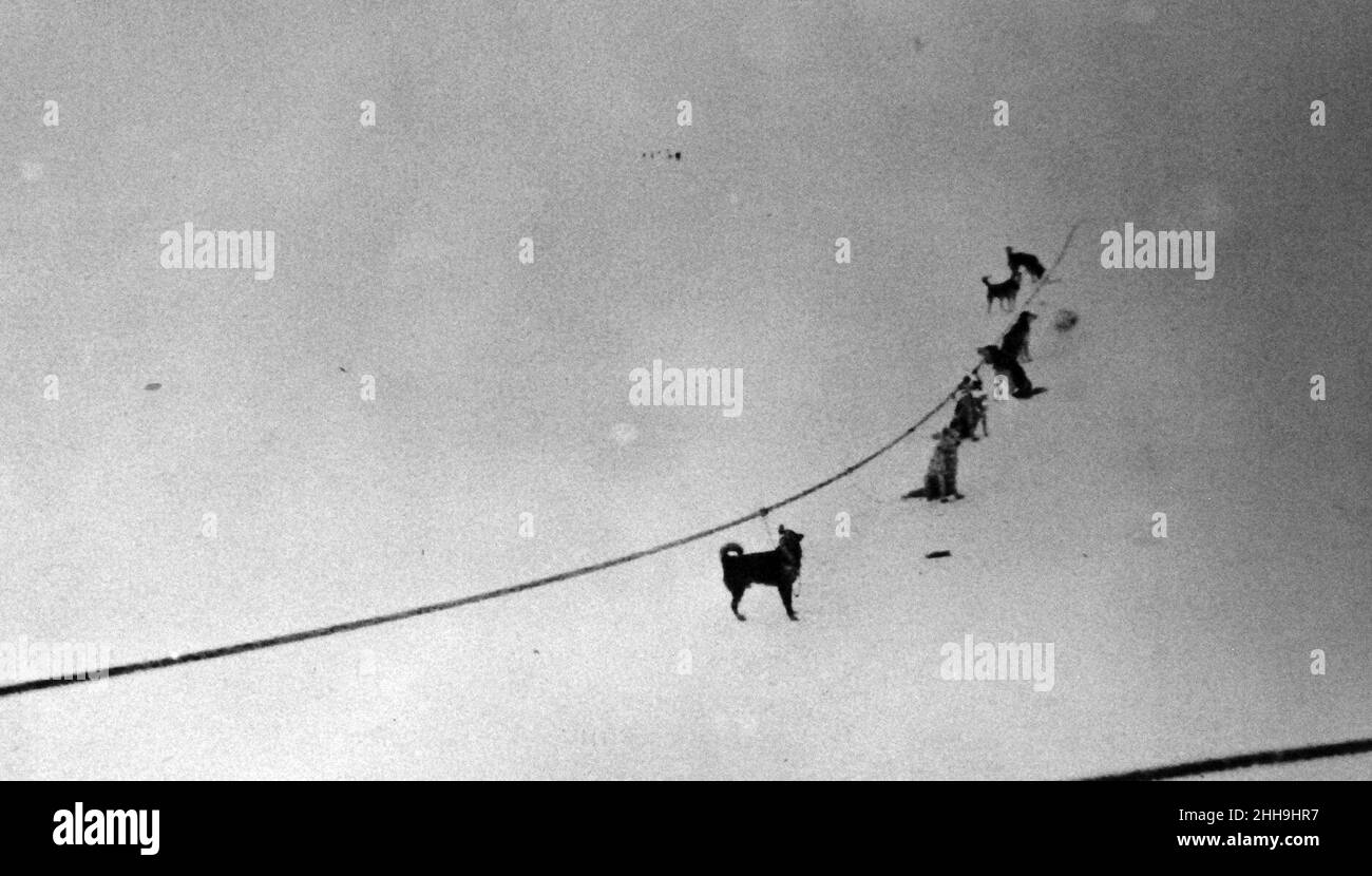 Sled dogs awaiting chow during Byrd’s First Antarctic Expedition April 1929 (25381900650). Stock Photo