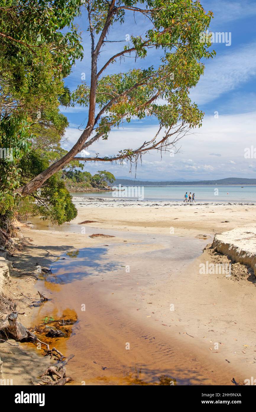 Cloudy Bay, Bruny Island Stock Photo Alamy