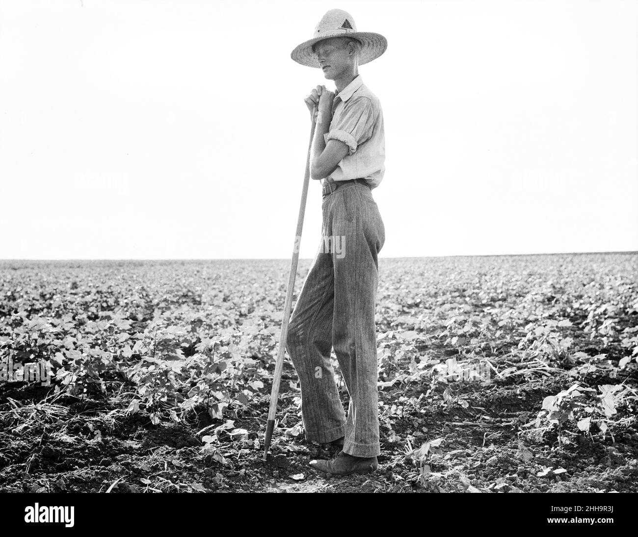 Young Man with Hoe in Crop Field, near Dallas, Texas, USA, Dorothea Lange, U.S. Office of War Information/U.S. Farm Security Administration, August 1936 Stock Photo