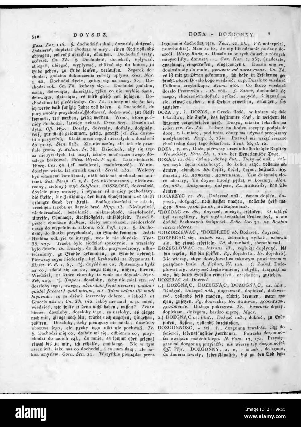 dokladny-slownik-jezyka-ruskiego-i-polskiego