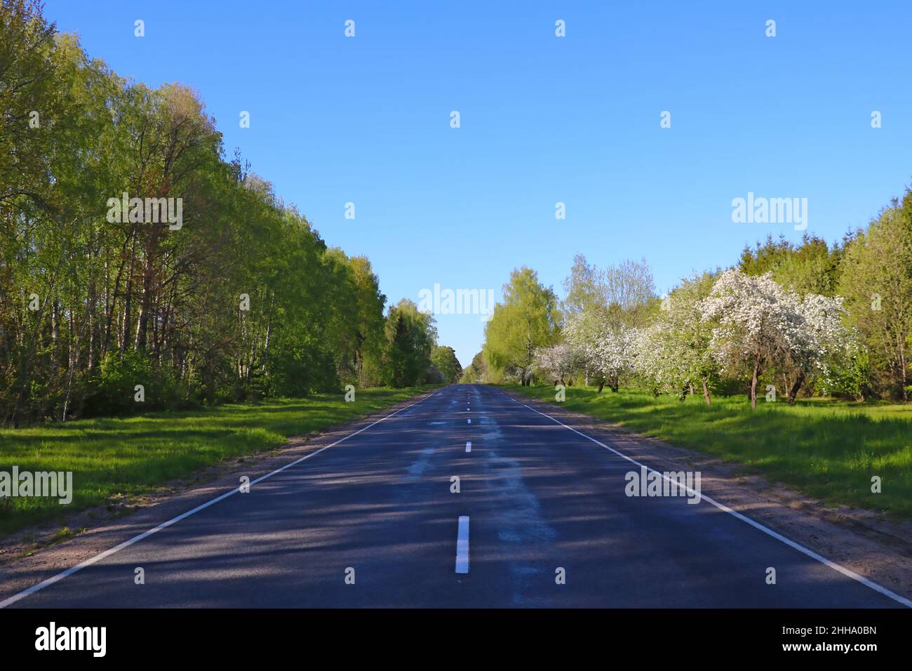 Out of focus. Beautiful scenic road in spring on a sunny day. Out of focus Stock Photo