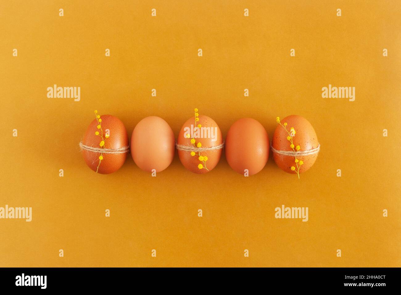 five brown easter eggs decorated with mimosa flowers, yellow background, top view Stock Photo
