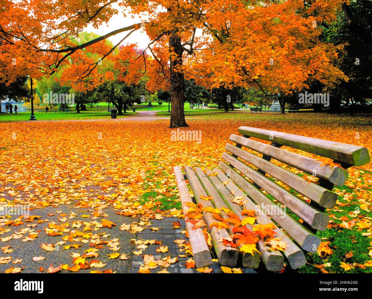 Boston public garden bench hires stock photography and images Alamy