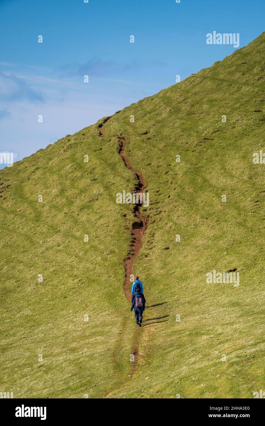 The lime green grass and brilliant blue sky steal the show as these three hikers face a steep incline. Stock Photo