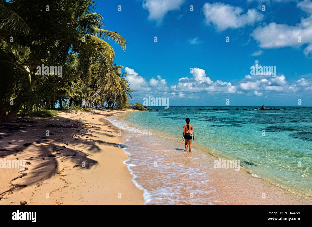 Caribbean paradise, Little Corn Island, Nicaragua Stock Photo Alamy
