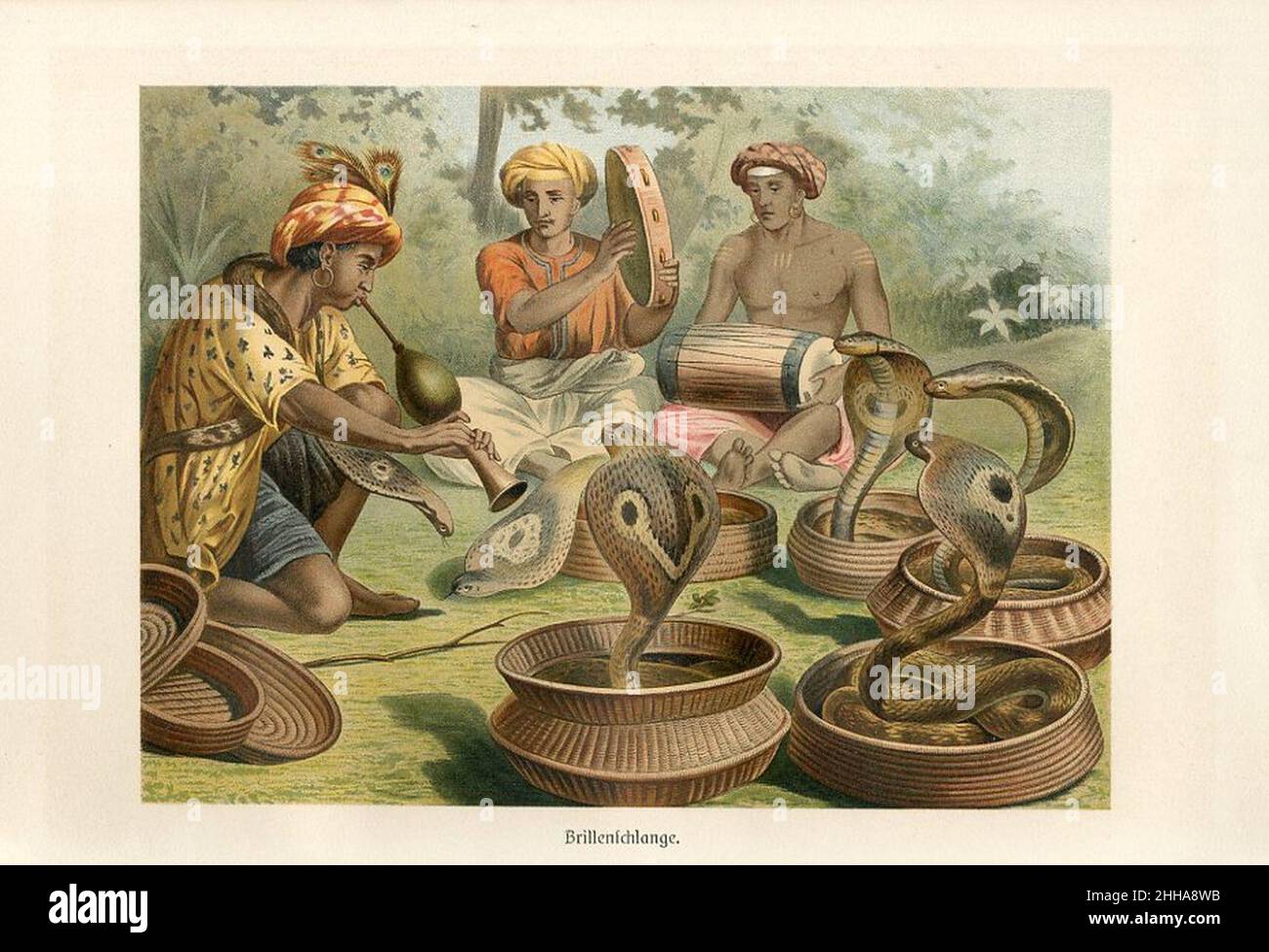 Snakecharmers by Alfred Brehm (chromolithograph Stock Photo - Alamy