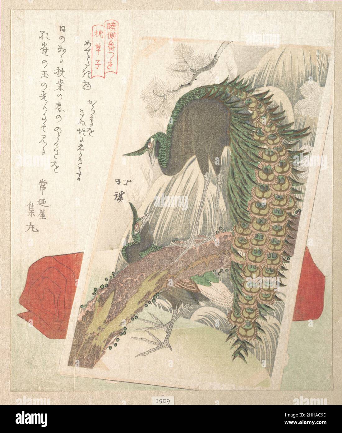 Painting of Peacocks, Pines, a Waterfall, and a Roll of Red Fabric ca. 1818 Totoya Hokkei Japanese. Painting of Peacocks, Pines, a Waterfall, and a Roll of Red Fabric  54448 Stock Photo