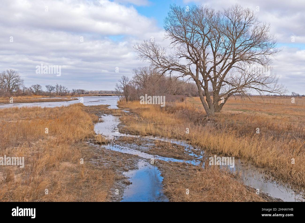 Gentle Side Channel of of a Great Plains River of the Platte River near