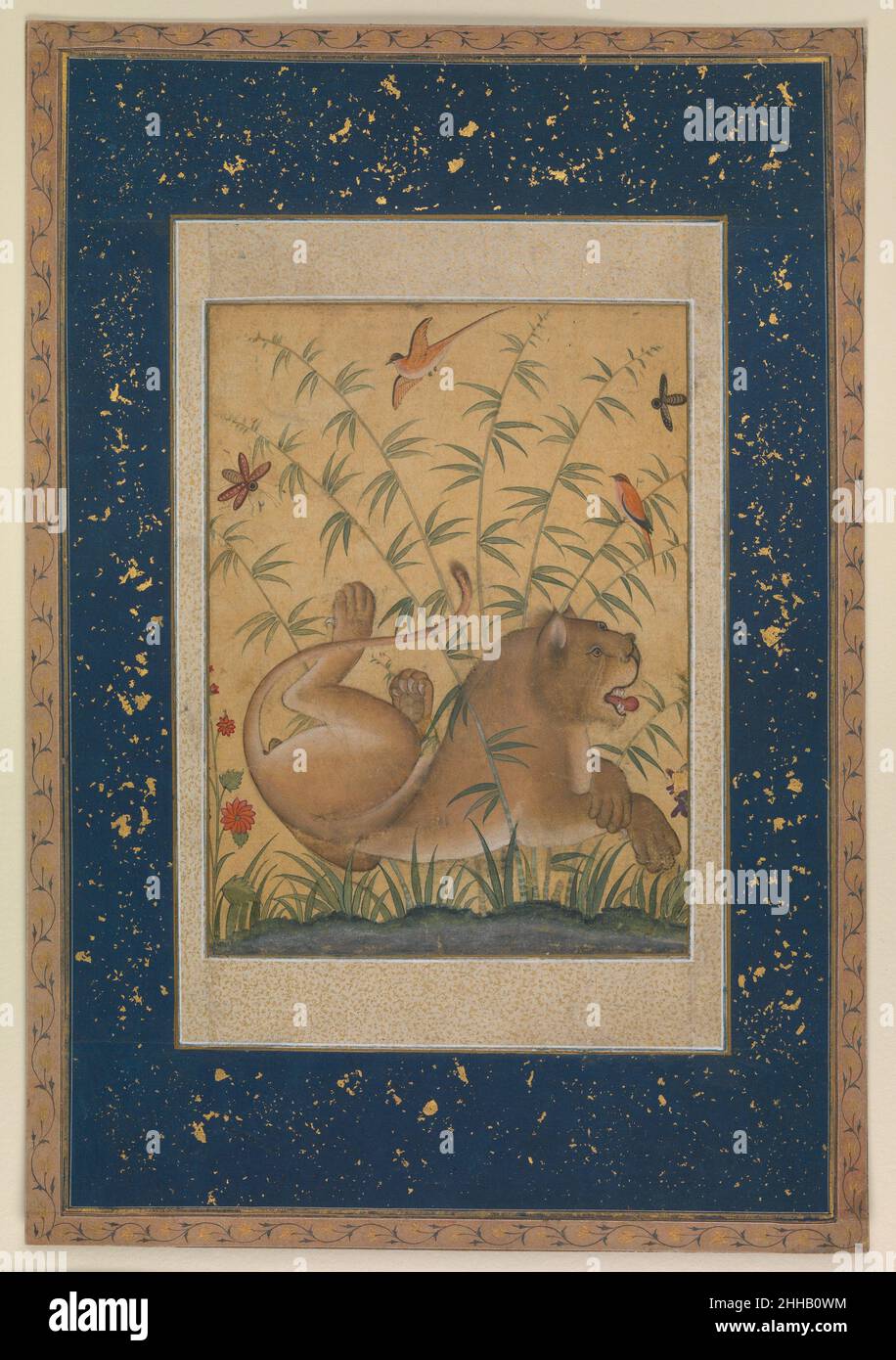 Lion at Rest ca. 1585 The Mughals had a great predilection for Indian fauna. Muraqqa (single-page) paintings with animal portraiture developed into a separate genre during the Mughal period. For the Mughals, lions symbolized power and when accompanied by a lamb or calf signified the existence of peace and justice. This painting, one of the early works of Mansur, belongs to the period of Akbar and shows a resting lion reclining in the bulrushes besides the edge of a lake where birds perch and flit amidst the bamboo grove. The lion raises his hind legs while lightly crossing the fore paws in one Stock Photo