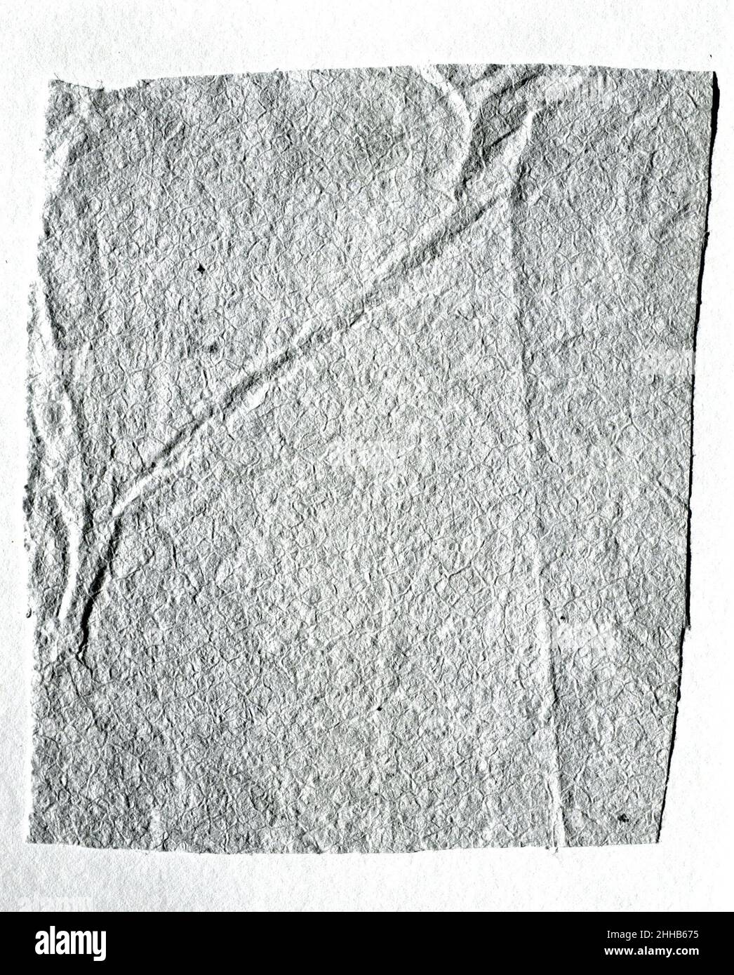 Barkcloth Fragment (Kapa) 19th century Hawai'i. Barkcloth Fragment (Kapa)  310419 Stock Photo