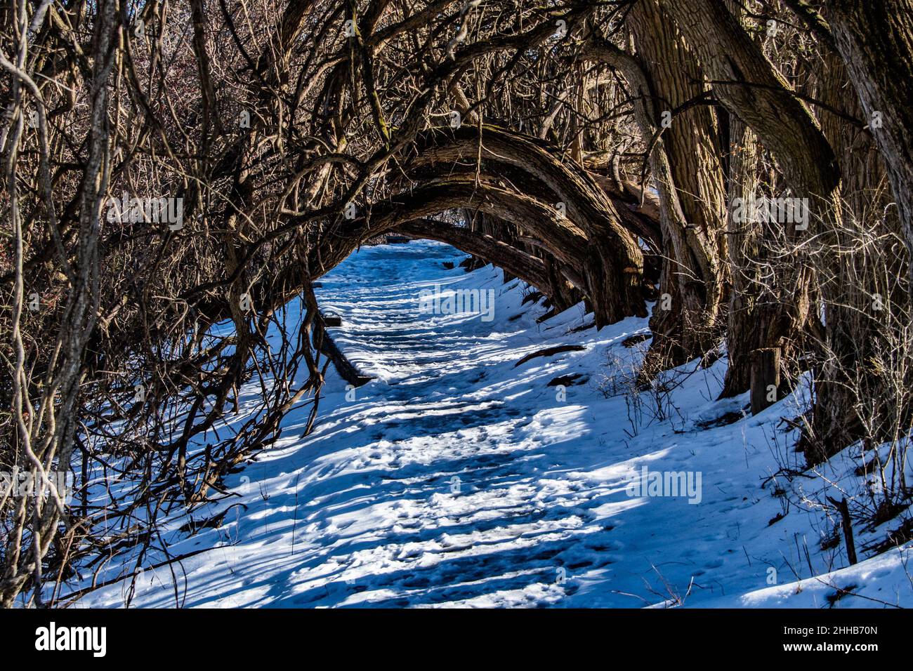 Hiking Trail In Nixon Park, Richard M Nixon County Park, York County
