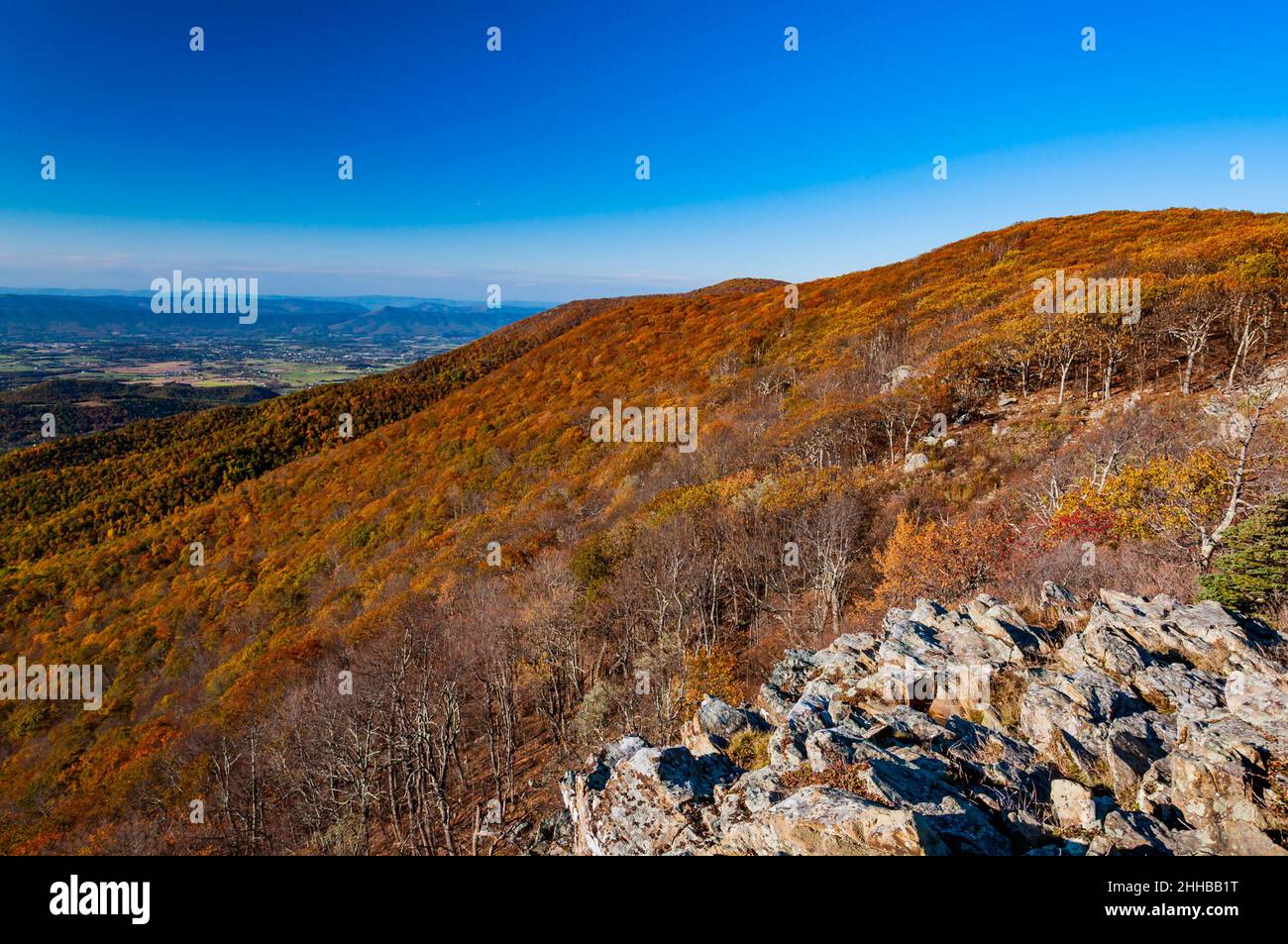 appalachian-mountain-autumn-colors-shenandoah-national-park-virginia