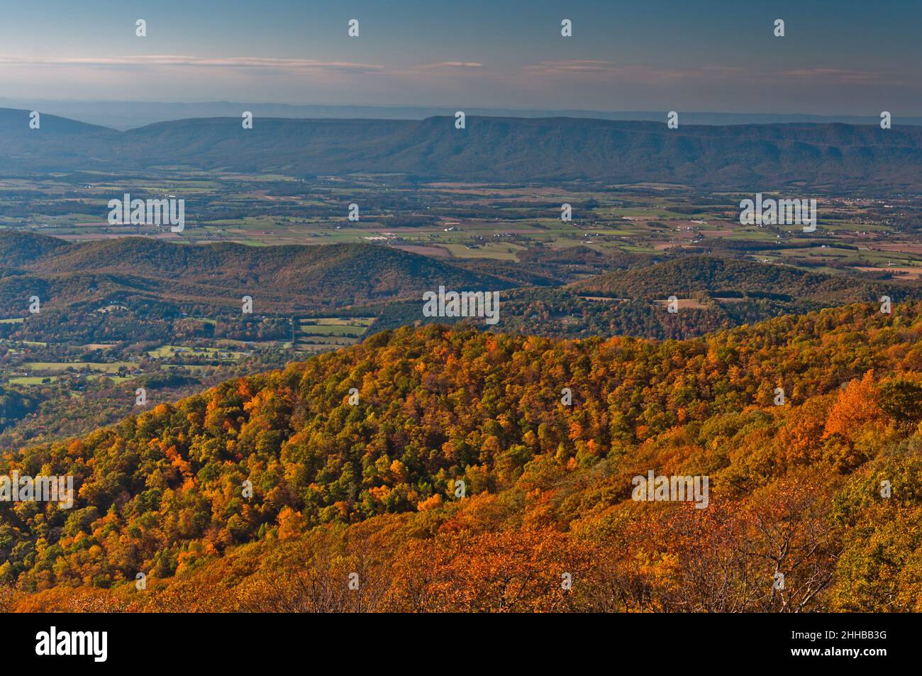 Massanutten Mountain In Autumn, Shenandoah National Park, Virginia, Usa 