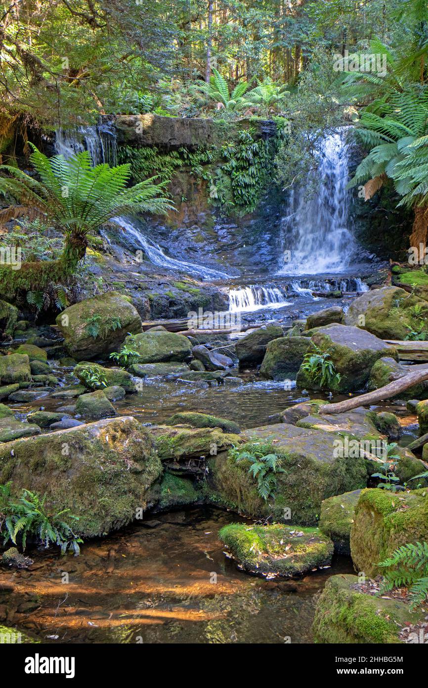 Horseshoe Falls, Mt Field National Park Stock Photo Alamy