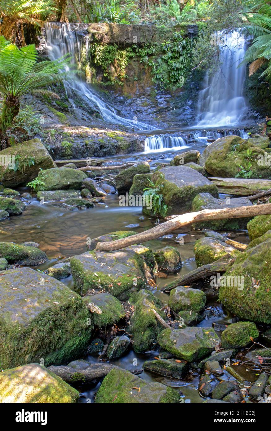 Horseshoe Falls, Mt Field National Park Stock Photo Alamy