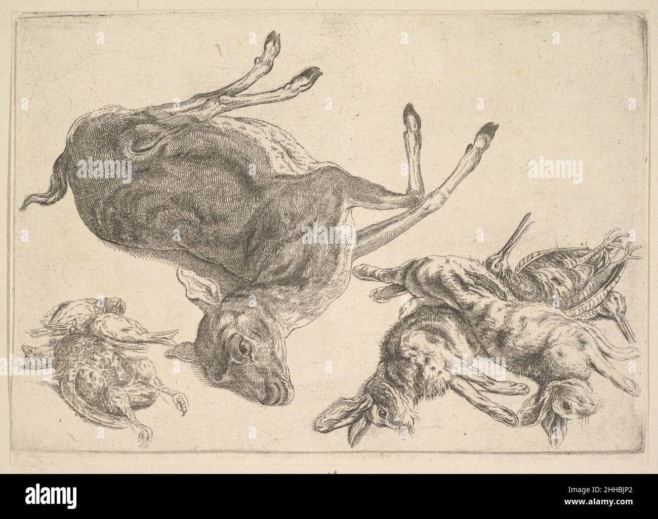 Dead deer, hares and game 1647 Wenceslaus Hollar Bohemian One dead deer, two dead hares and five dead game birds. Dead deer, hares and game  361714 Stock Photo