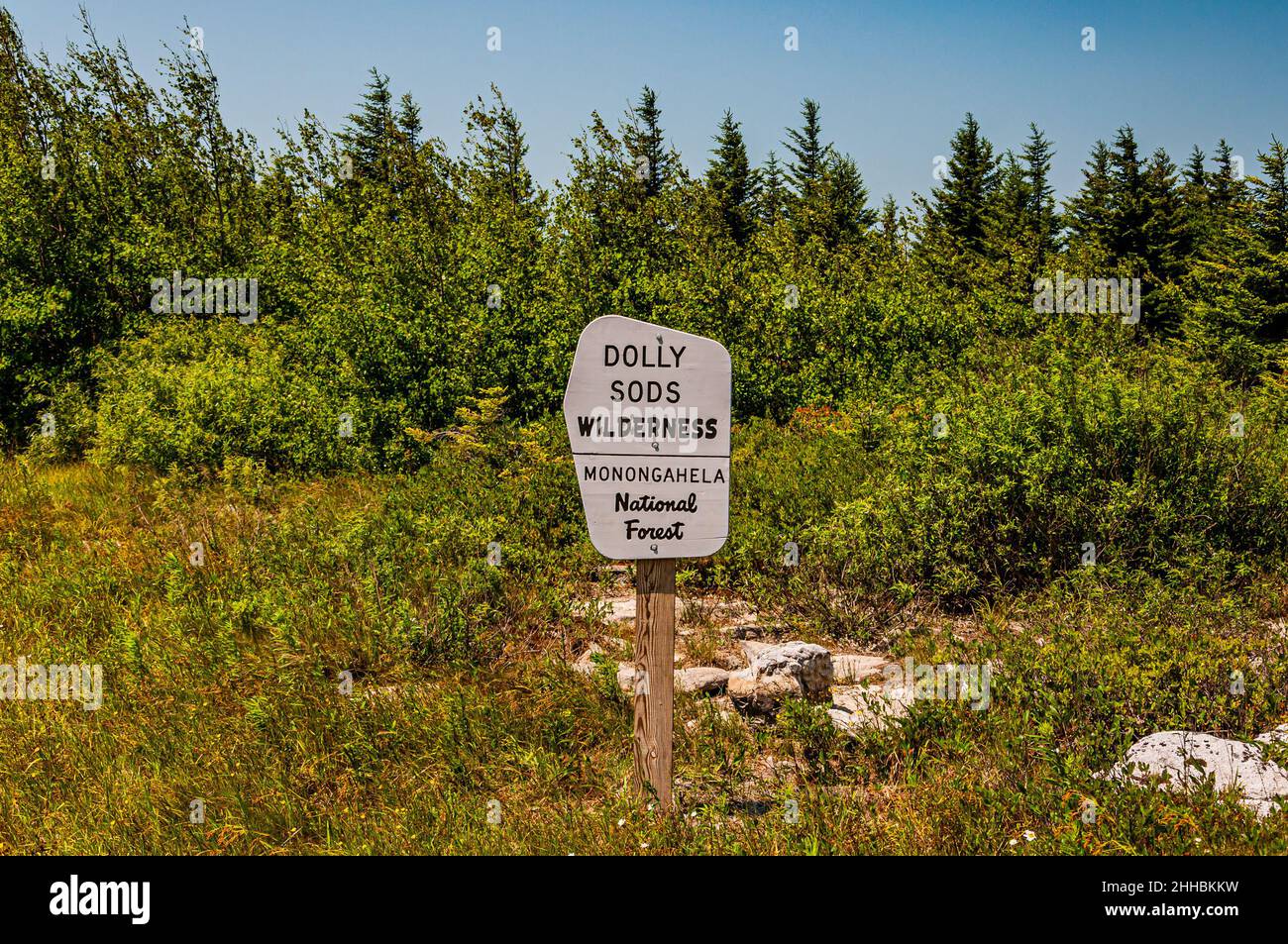 Photo of Dolly Sods Wilderness, Monongahela National Forest, West