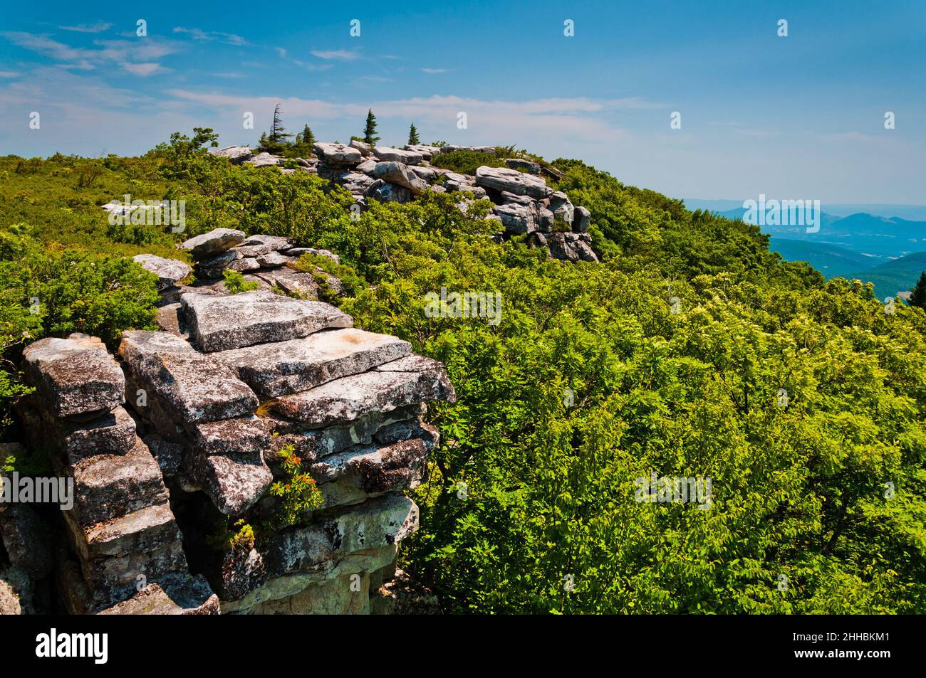 Photo of Rock Formations, Dolly Sods Wilderness, Monongahela National