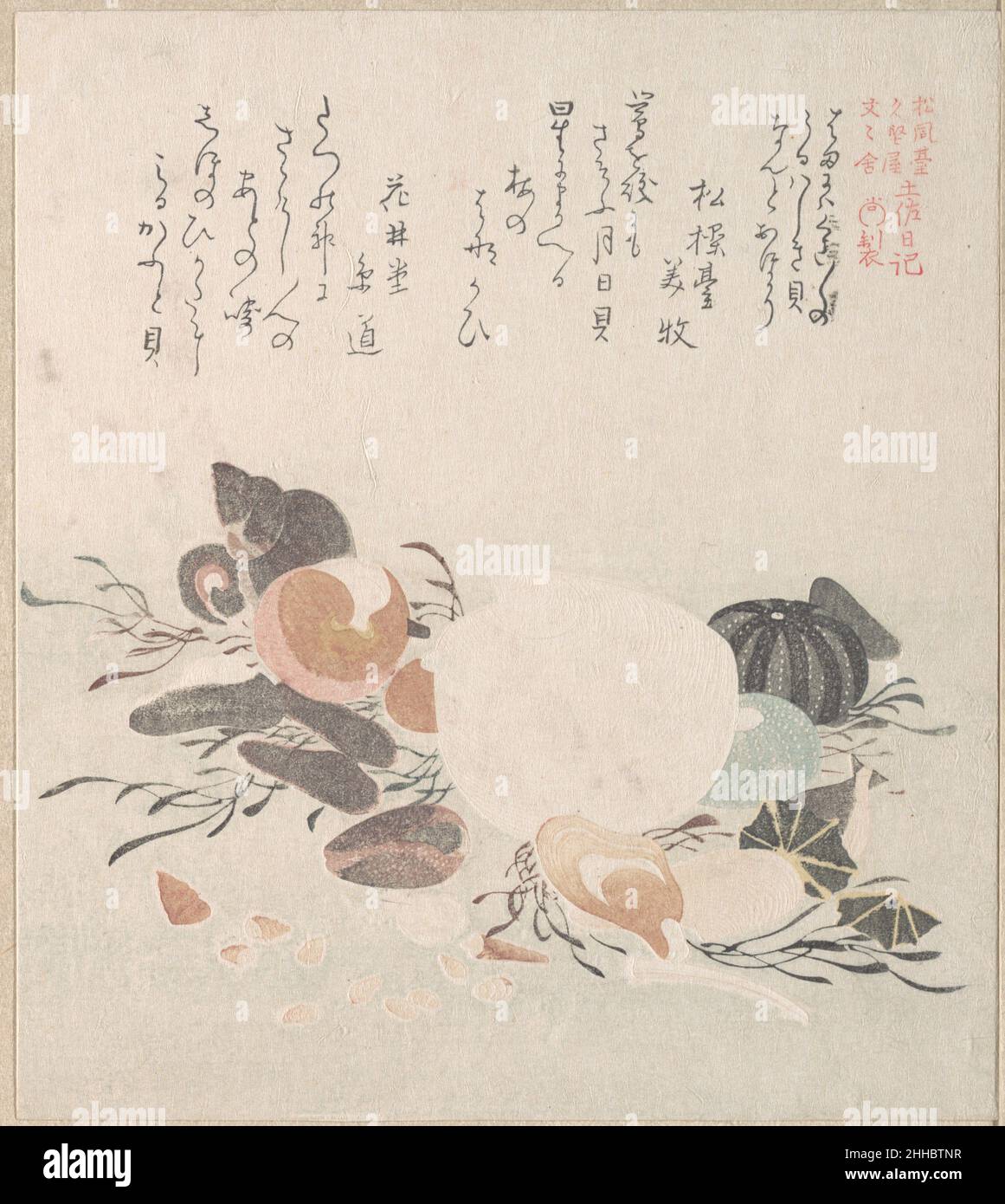 Various Shells with Sea Weeds 19th century Kubo Shunman Japanese. Various Shells with Sea Weeds  54904 Stock Photo