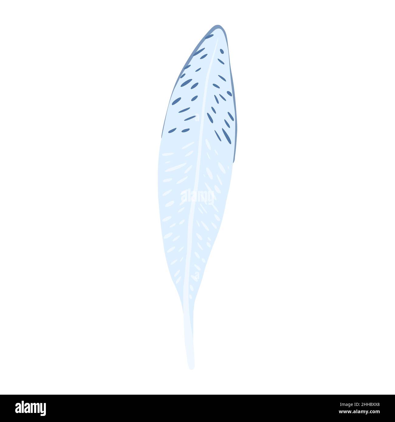 Feather isolated on white background. Hand drawn graphic element ...