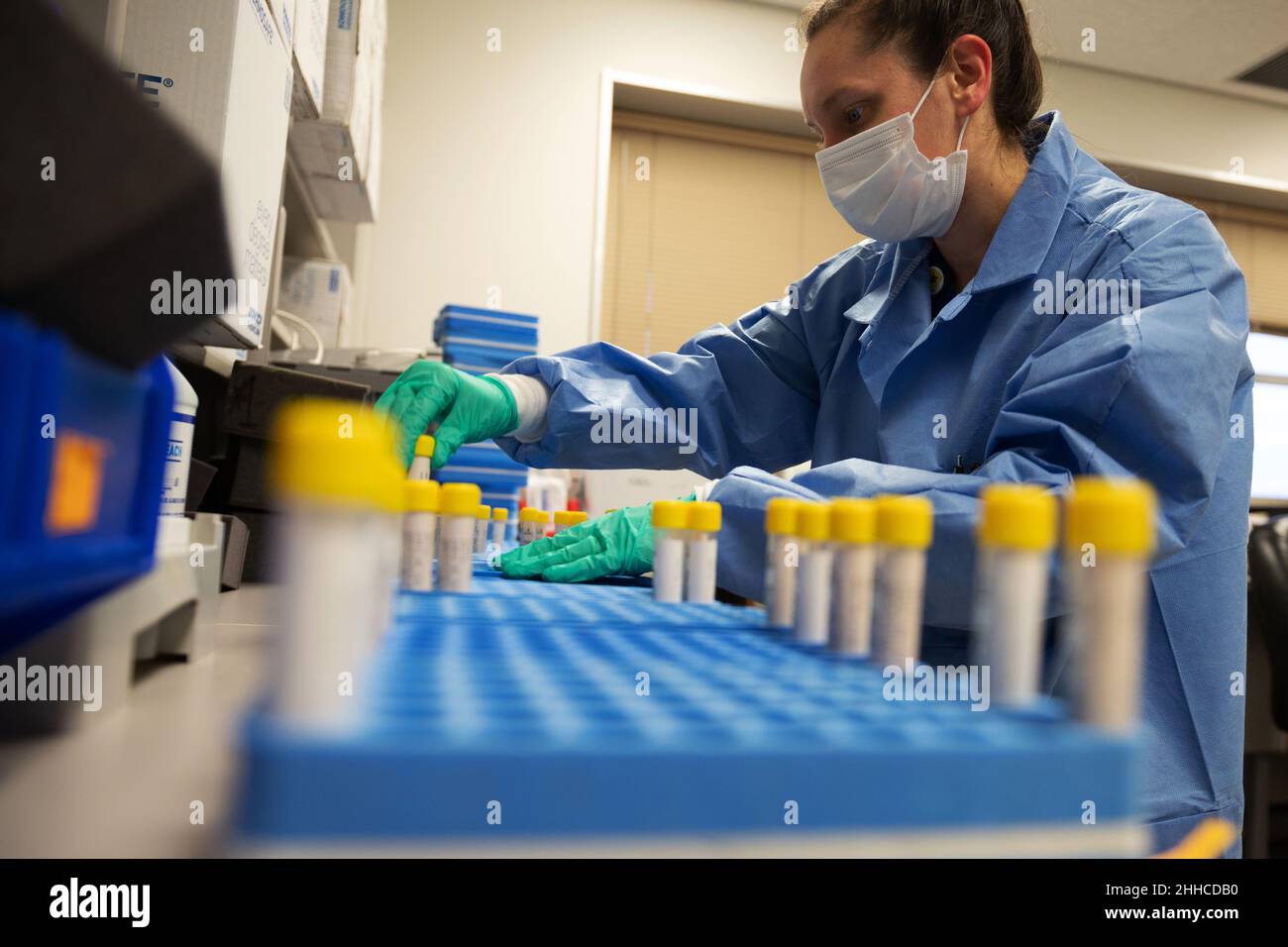 Kadena Air Base, Okinawa, Japan. 13th Jan, 2022. Kelly Kovalsky, 18th Medical Support Squadron laboratory assistant, alphabetizes COVID-19 test swab samples at Kadena Air Base, Japan, Jan. 13, 2022. After verifying the test orders, laboratory technicians prepare the samples to be shipped for testing. In order to test large amounts of samples per day, the 18th Medical Group ships the swabs by plane to a testing lab in Tokyo. Once the test results come back, technicians input them into the computer. Credit: U.S. Air Force/ZUMA Press Wire Service/ZUMAPRESS.com/Alamy Live News Stock Photo