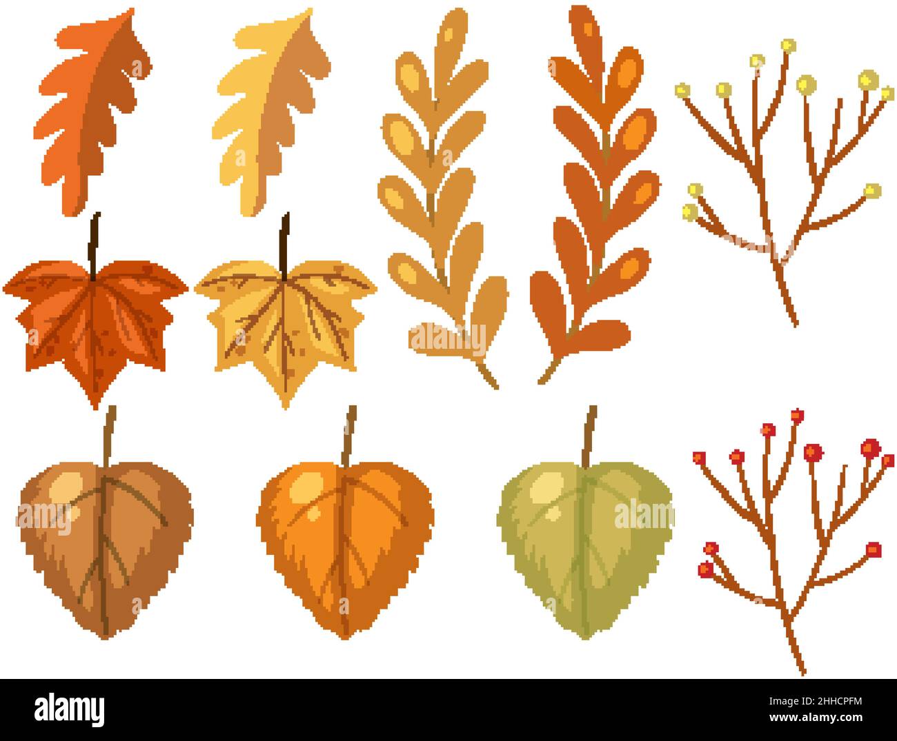 Set of different autumn leaves on white background illustration Stock ...
