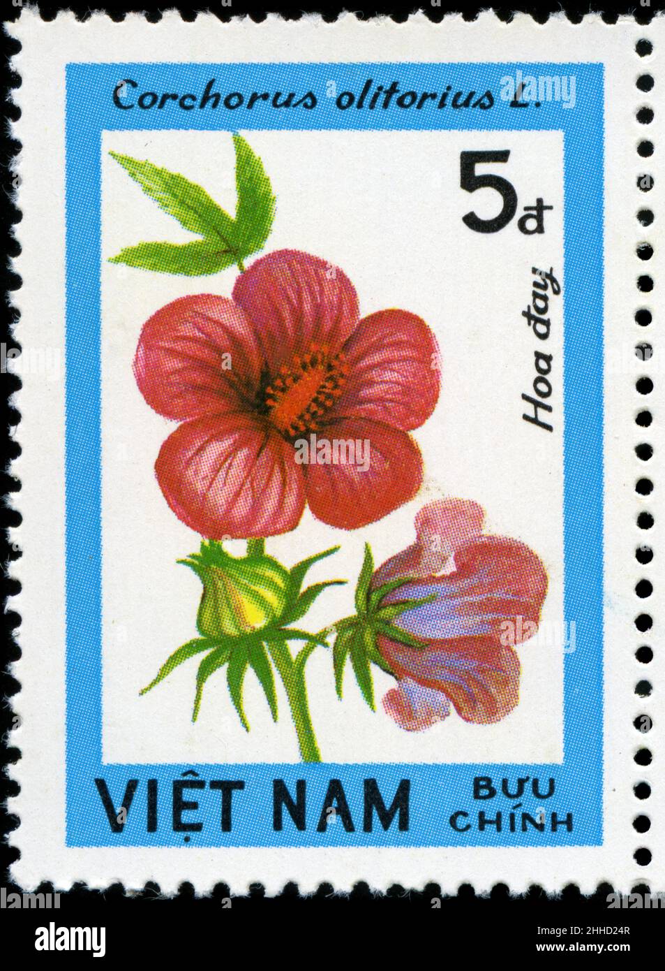 Postage stamp from Vietnam in the Blossoming Woody Plants series issued in 1984 Stock Photo