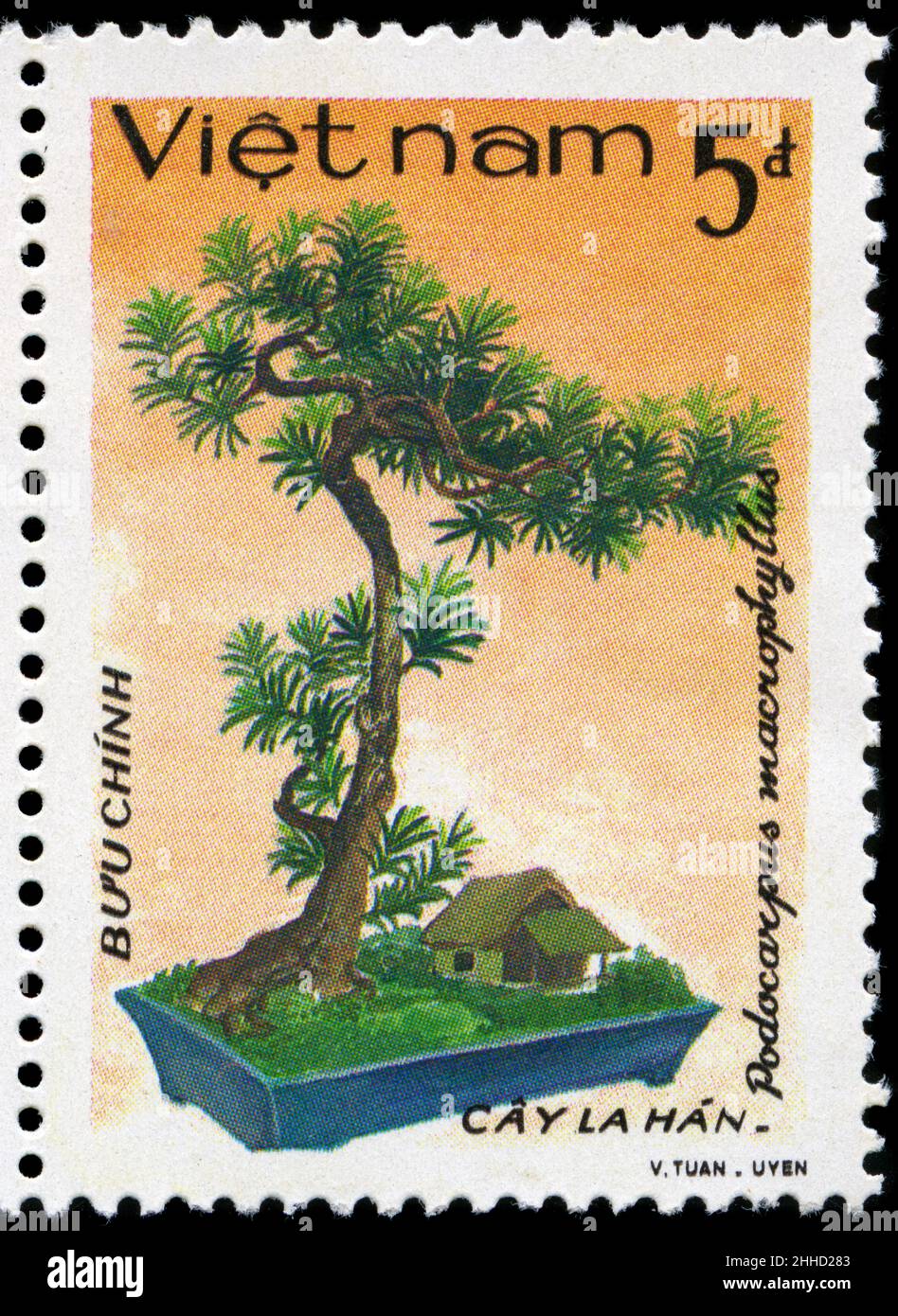 Postage stamp from Vietnam in the Vietnamese Bonsai series issued in 1986 Stock Photo