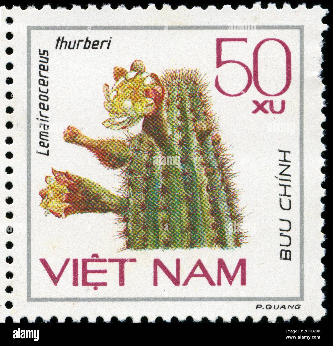 Postage stamp from Vietnam in the Cacti series issued in 1985 Stock Photo