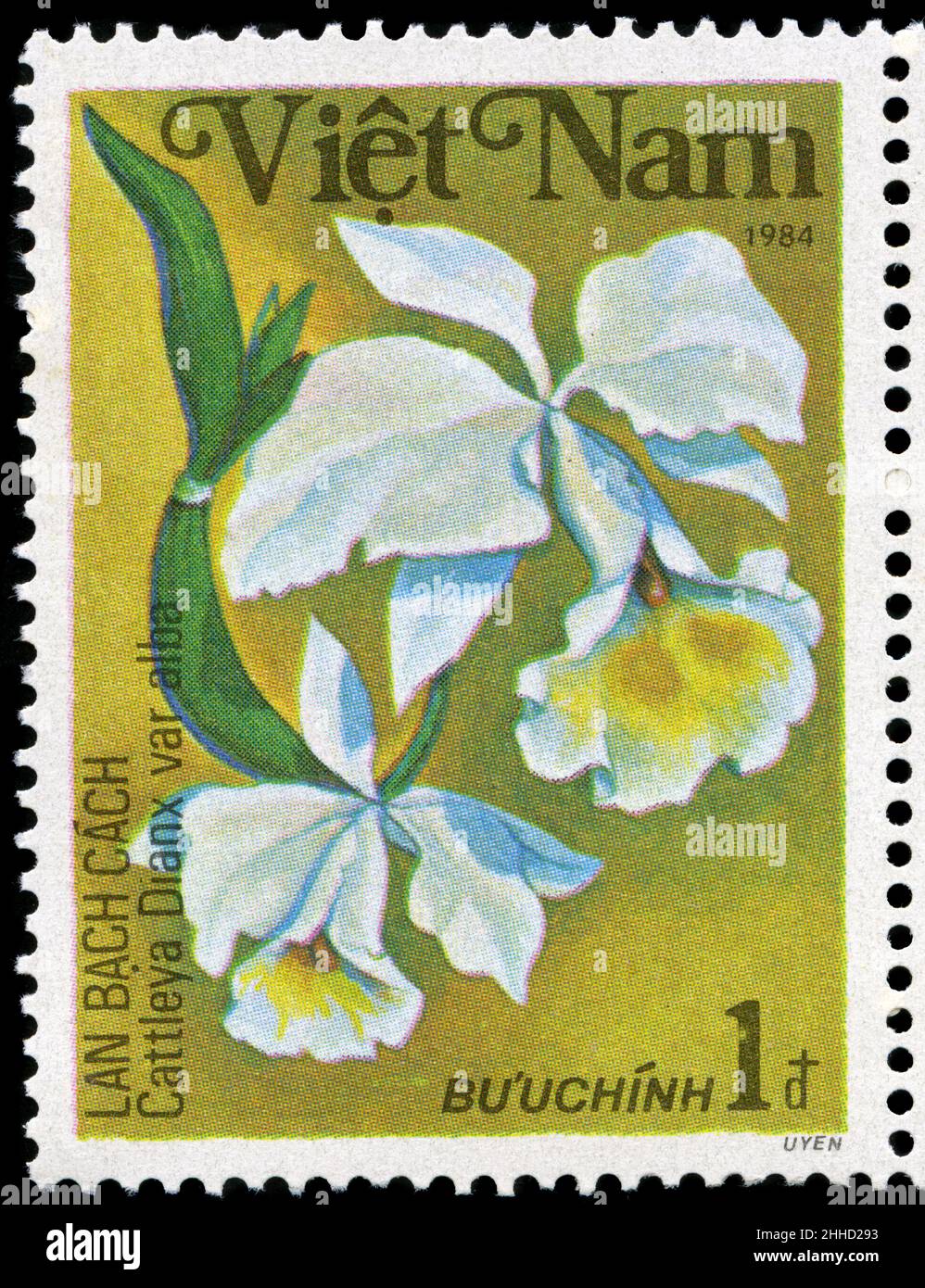 Postage stamp from Vietnam in the Orchids series issued in 1984 Stock Photo