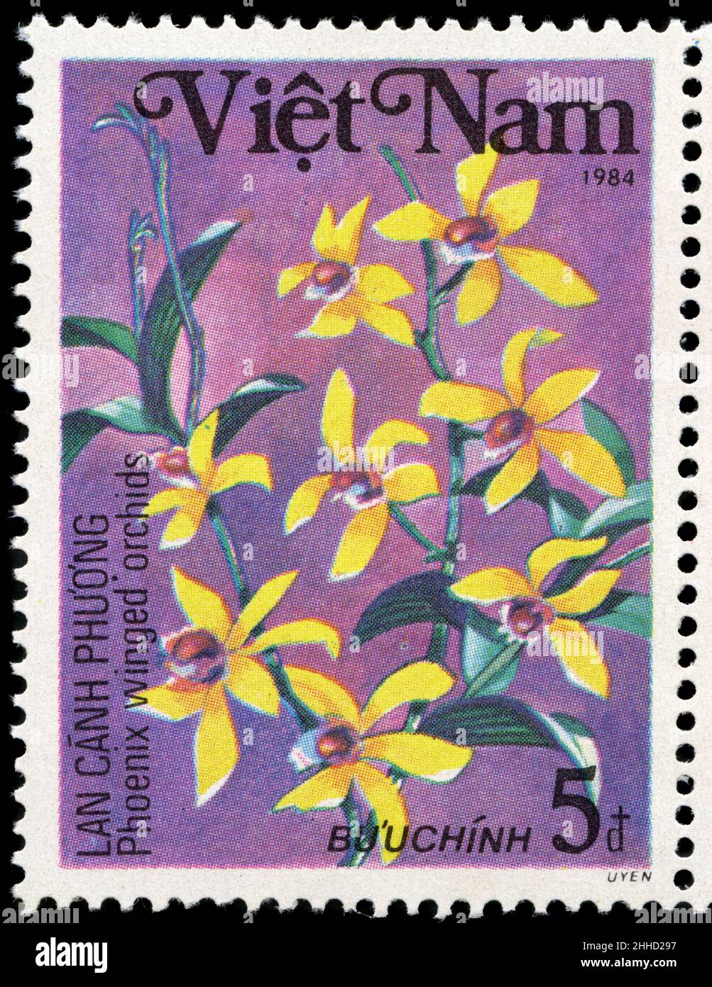 Postage stamp from Vietnam in the Orchids series issued in 1984 Stock ...