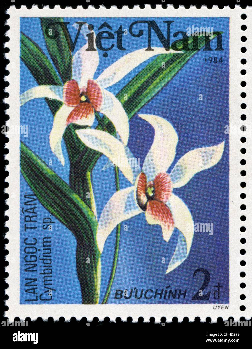 Postage stamp from Vietnam in the Orchids series issued in 1984 Stock ...
