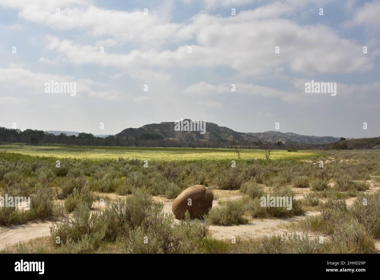 Stunning field with a cannonball rock formation in the Badlands. Stock Photo